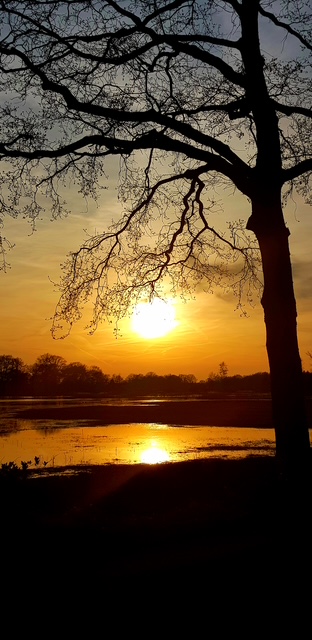 Zen.nl, Zen, meditatie, leren mediteren, foto
